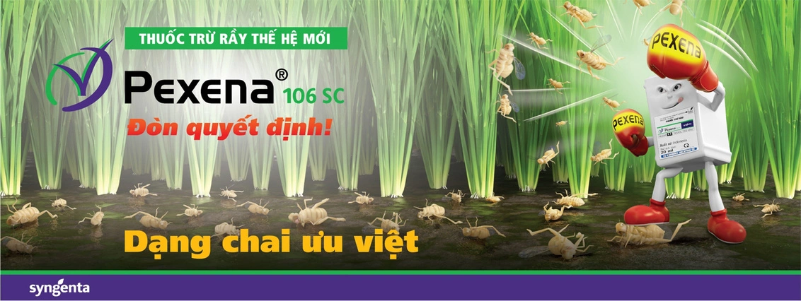 Pexena 106SC giải pháp trừ rầy nâu thế hệ mới Pexena 106SC giai phap tru ray the he moi