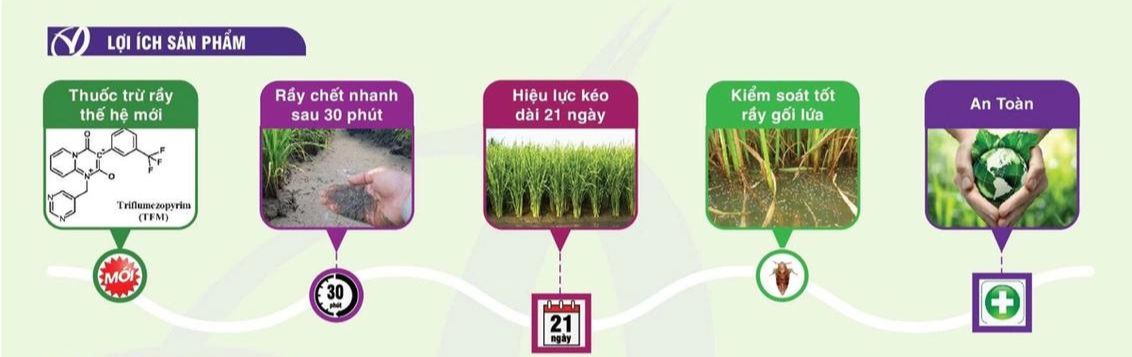 Pexena 106SC giải pháp trừ rầy nâu thế hệ mới loi ich ma san pham pexena 106SC thuoc tru ray nau the he moi mang lai